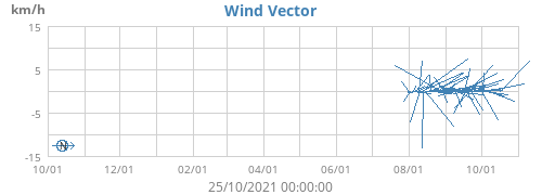Wind Vector